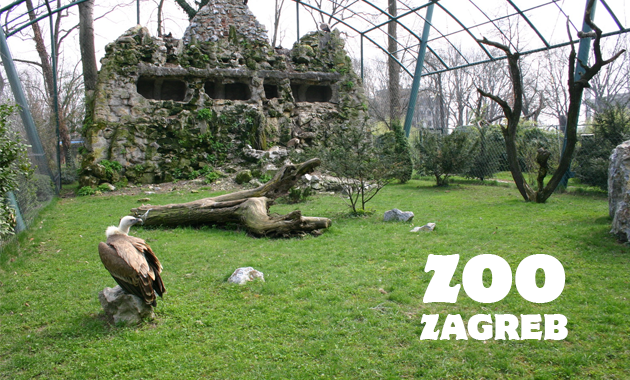 zoo2.