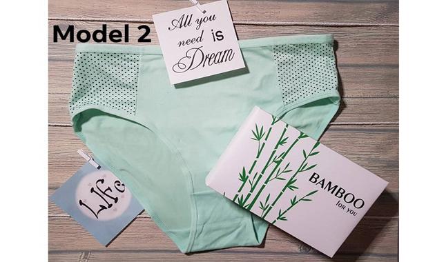 MODEL 2.